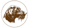 Amatori Drahthaar